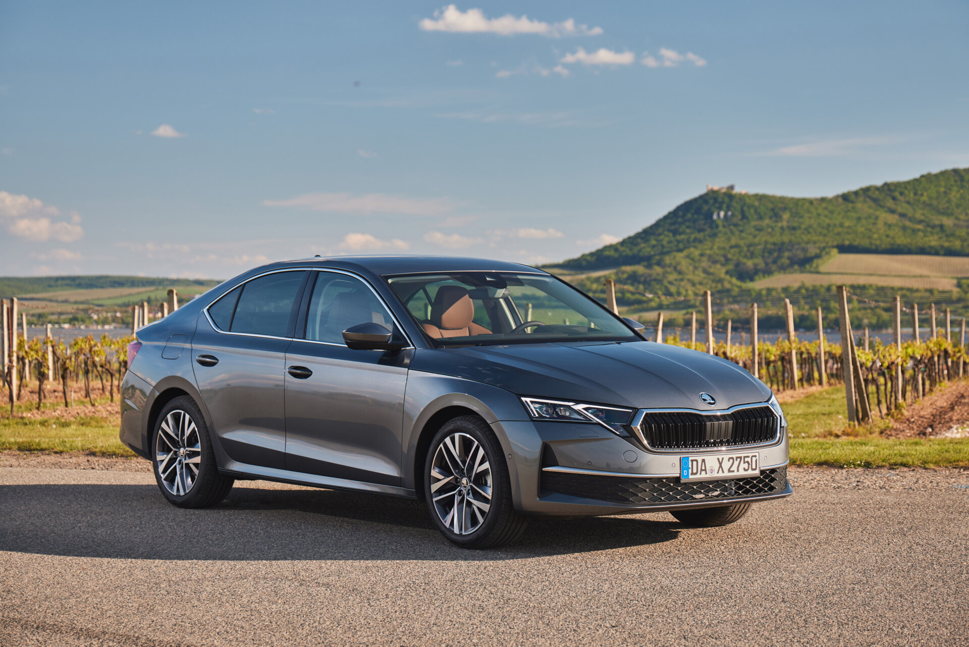 Grey Skoda Octavia parked beside a vineyard